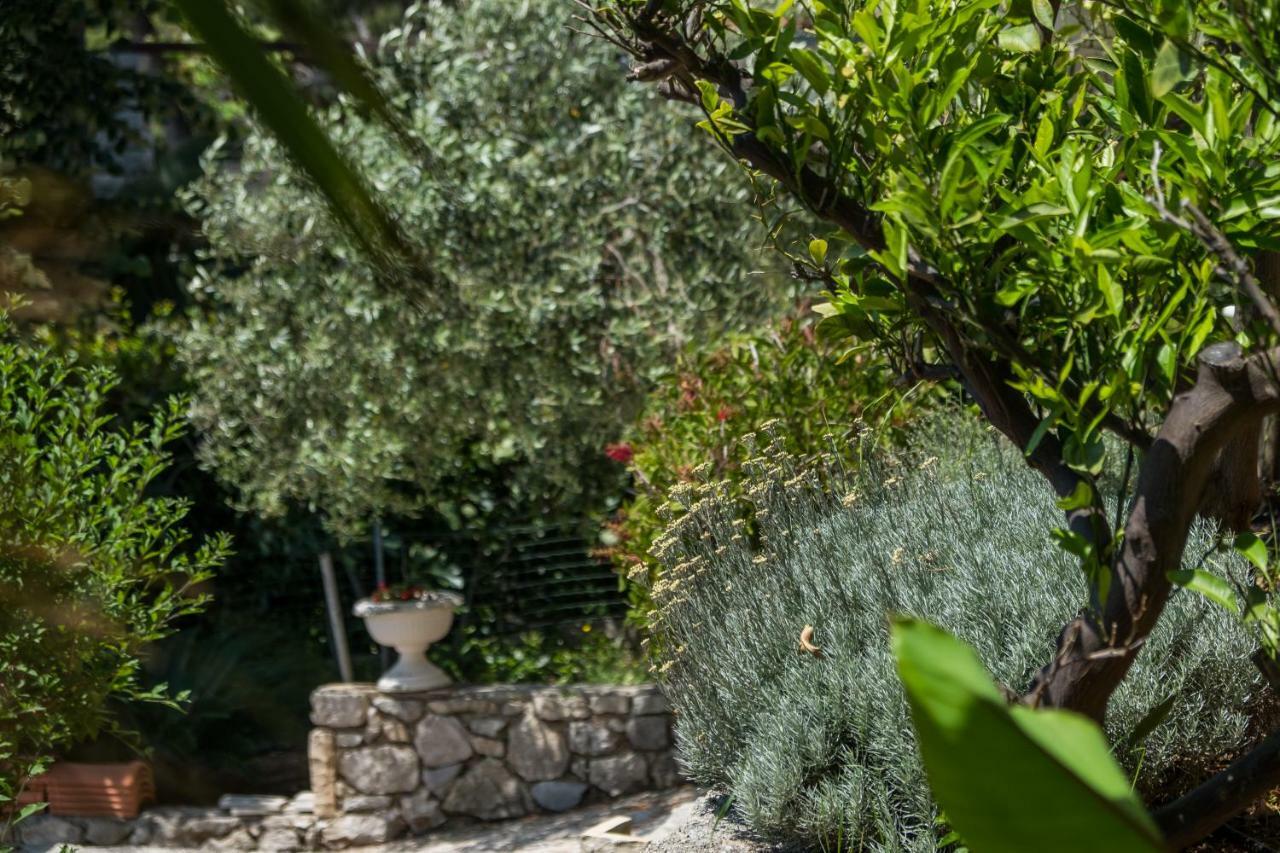Villa Magnolia Mali Lošinj Kültér fotó